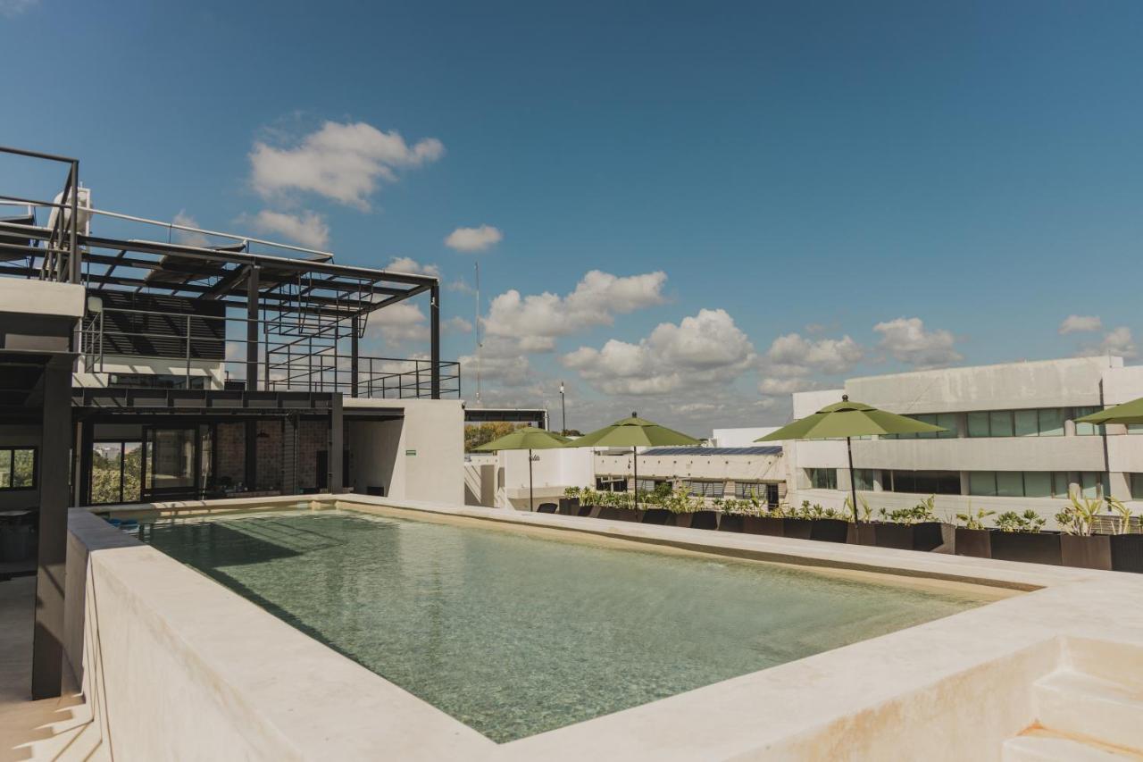 Caleta Hostel Rooftop & Pool Cancún Extérieur photo