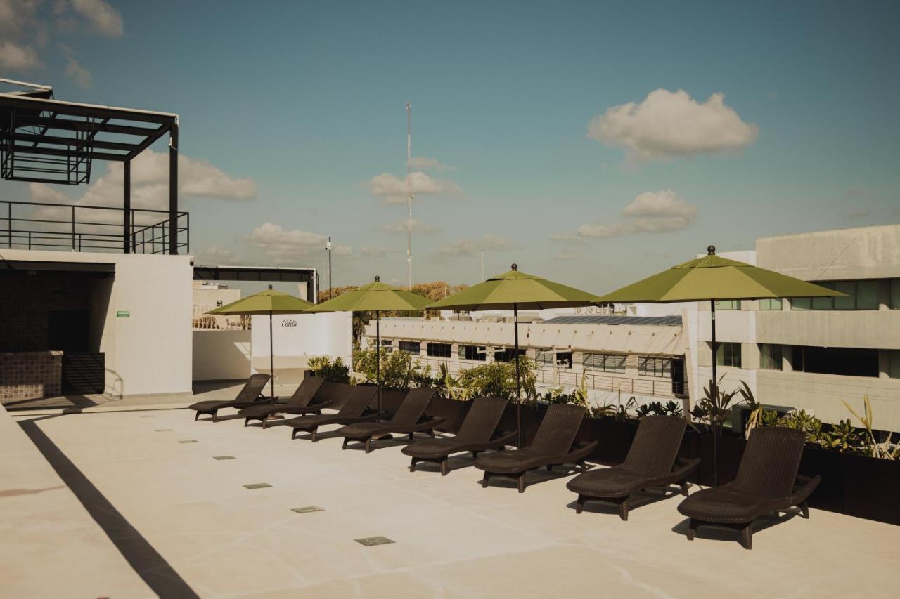 Caleta Hostel Rooftop & Pool Cancún Extérieur photo